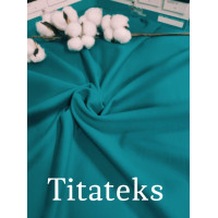 Футер Двунитка петля, Смарагд , Компакт-пеньє, Nike, Туреччина, 240 г/м2, 73/22/5, Pantone 18-4930 TPG.